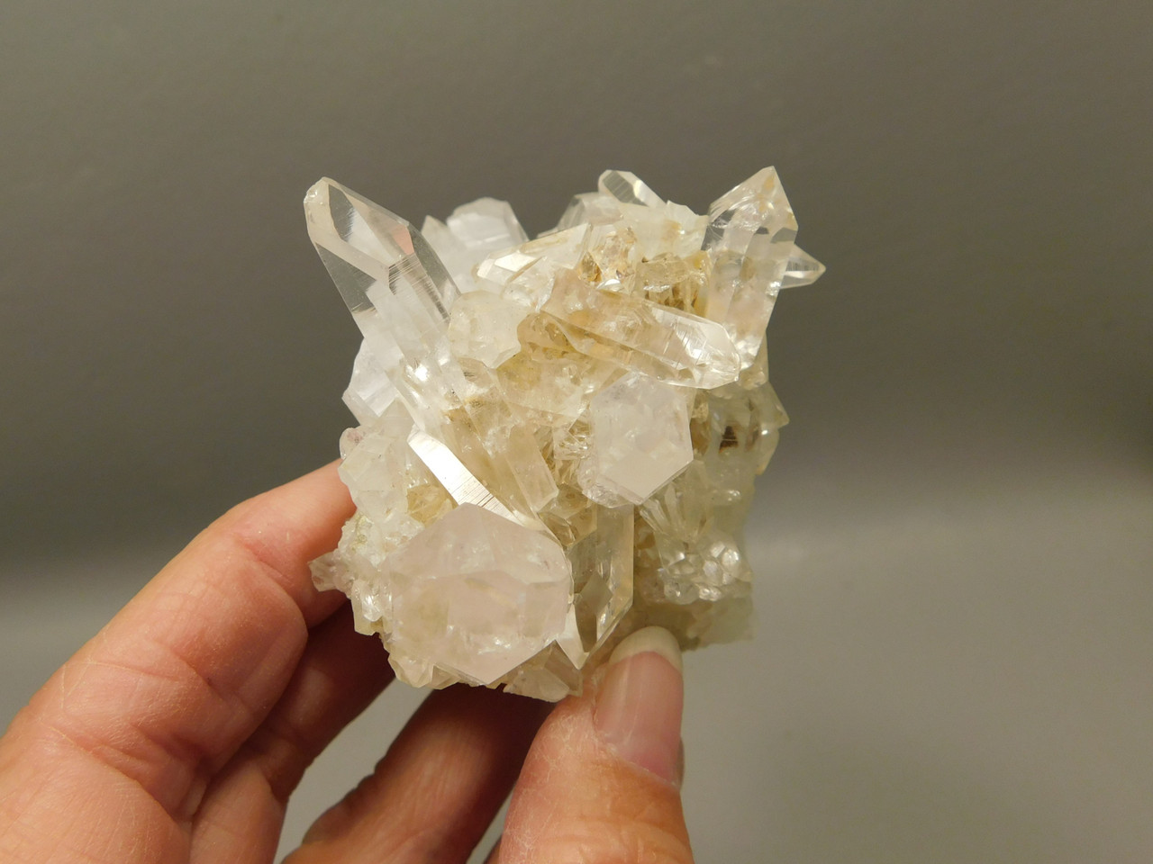 Lemurian Quartz Cluster Clear Natural Crystal Points 3.4 inch Columbia #O8