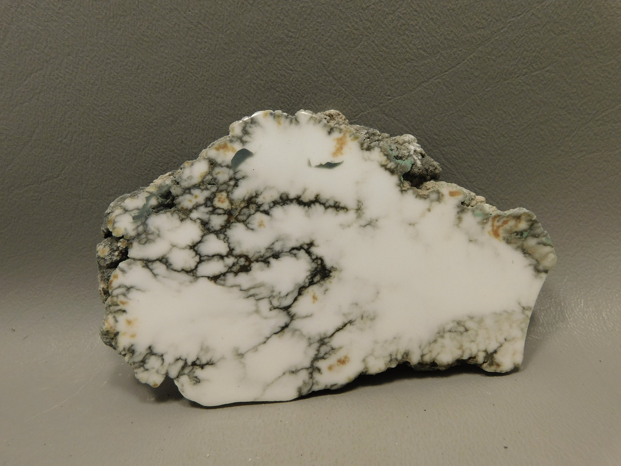 Howlite Polished Stone Slab Decorator Rock Tick Canyon California #O1