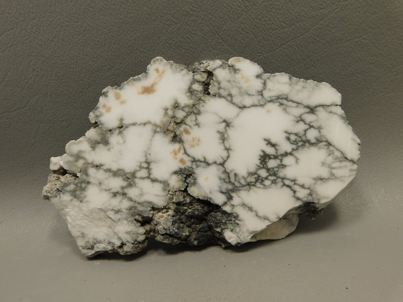 Howlite Polished Stone Slab Decorator Rock Tick Canyon California #O1