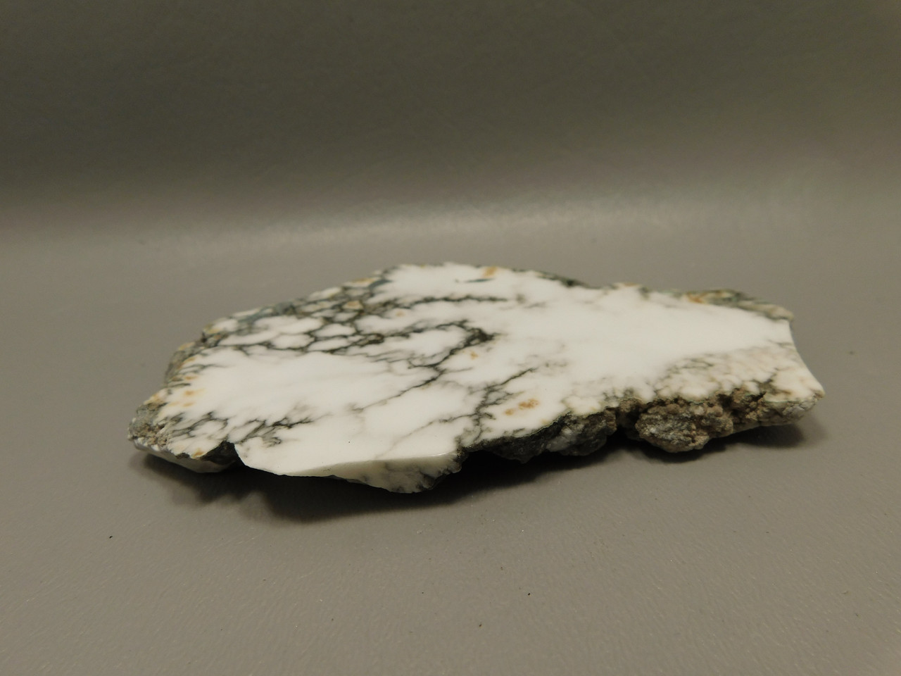 Howlite Polished Stone Slab Decorator Rock Tick Canyon California #O1