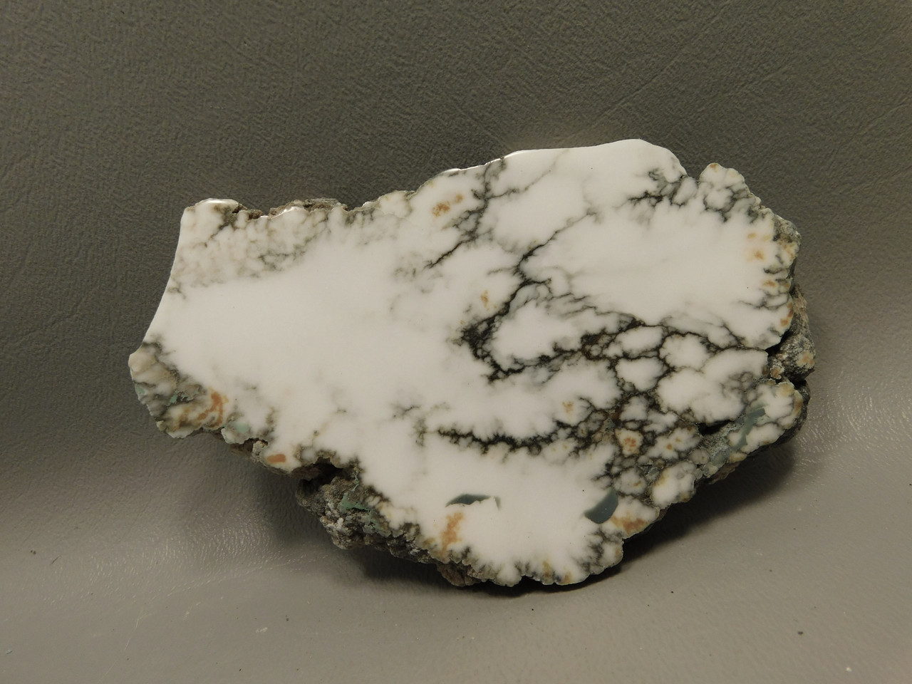 Howlite Polished Stone Slab Decorator Rock Tick Canyon California #O1