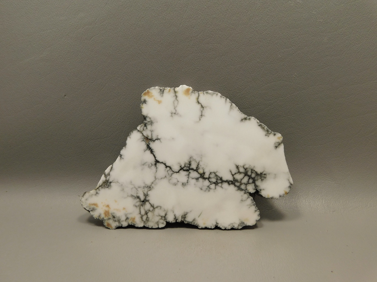 Howlite Polished Stone Slab Decorator Rock Tick Canyon California #O2