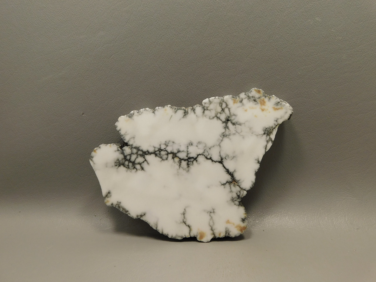 Howlite Polished Stone Slab Decorator Rock Tick Canyon California #O2