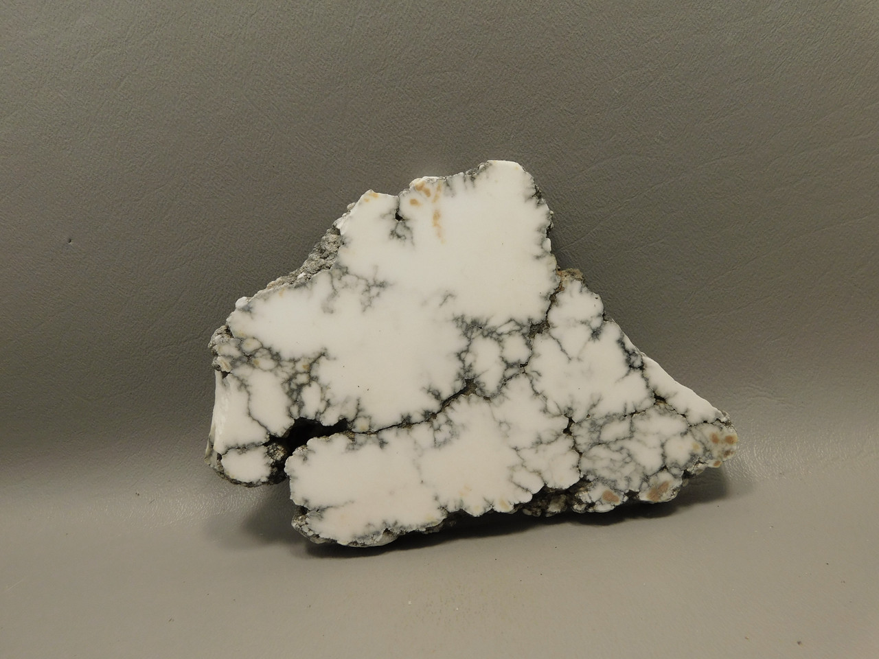 Howlite Polished Stone Slab Decorator Rock Tick Canyon California #O2
