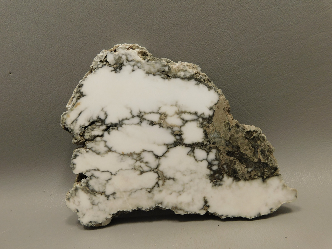 Howlite Polished Stone Slab Decorator Rock Tick Canyon California #O4