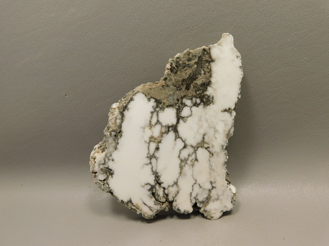 Howlite Polished Stone Slab Decorator Rock Tick Canyon California #O4