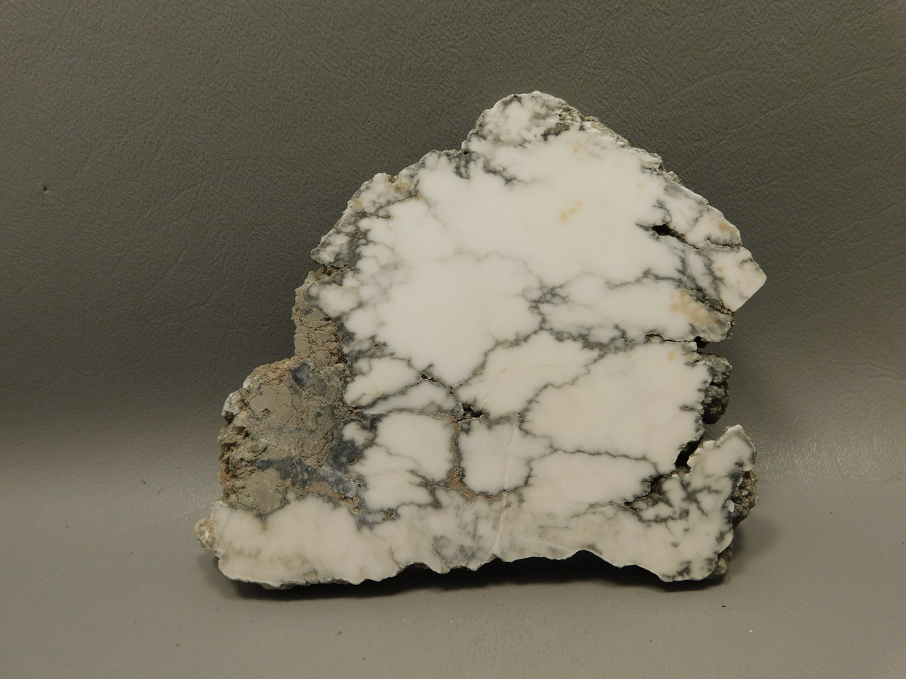 Howlite Polished Stone Slab Decorator Rock Tick Canyon California #O4