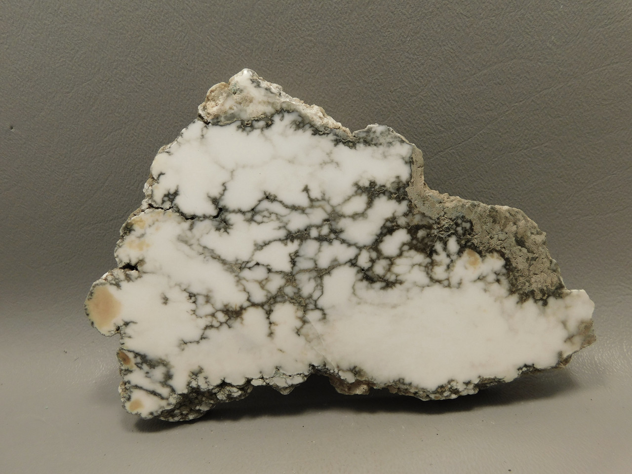 Howlite Polished Stone Slab Decorator Rock Tick Canyon California #O6