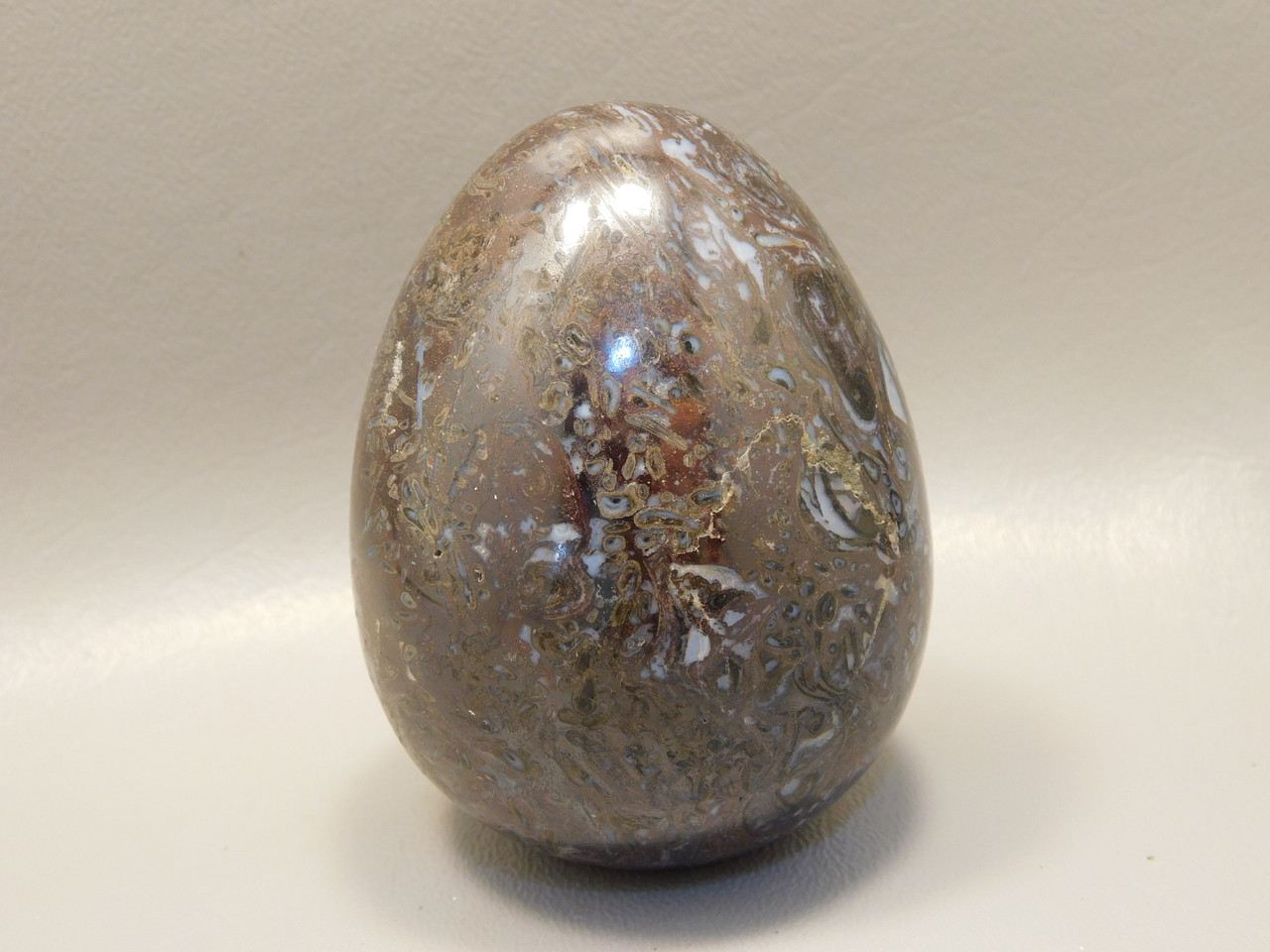 Petrified Wood Egg Rare Paleosmunda Fossil 3 inch Decorator #O2