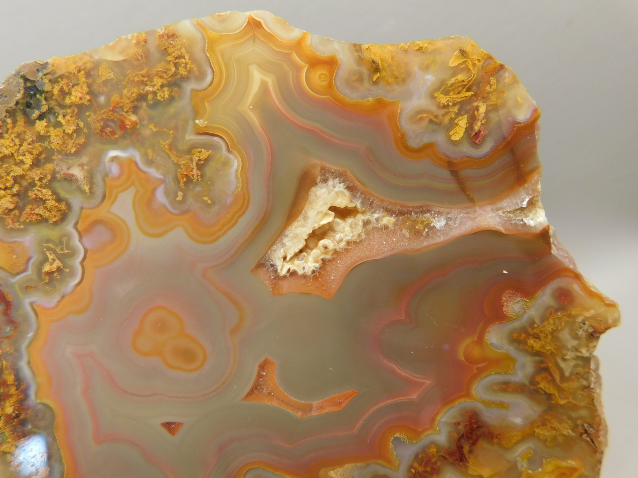 Laguna Agate Polished Stone Slab Red Collector Rock #O100