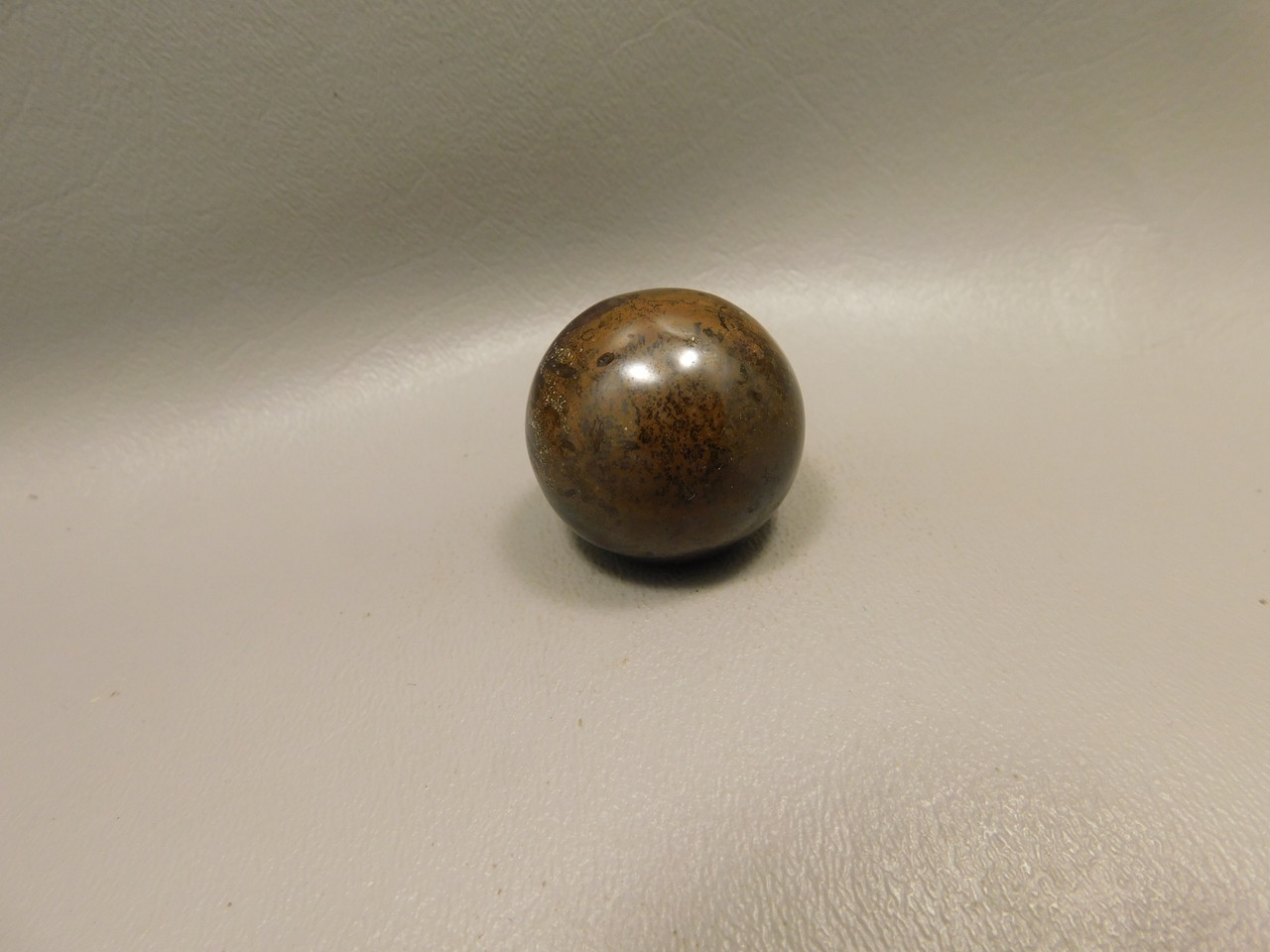 Petrified Wood Small Sphere Marble 30 mm Rare Paleosmunda Fossil #O10