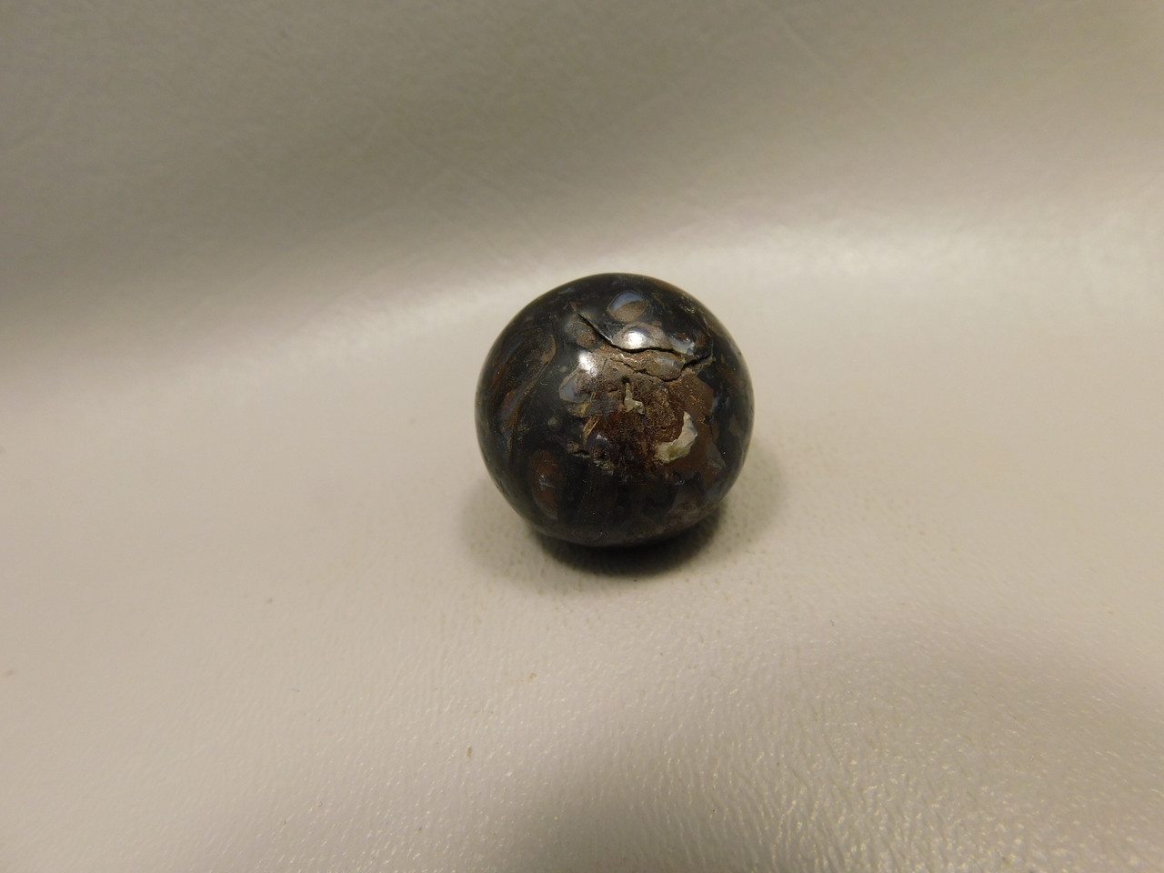 Petrified Wood Small Sphere Marble 25 mm Rare Paleosmunda Fossil #O14