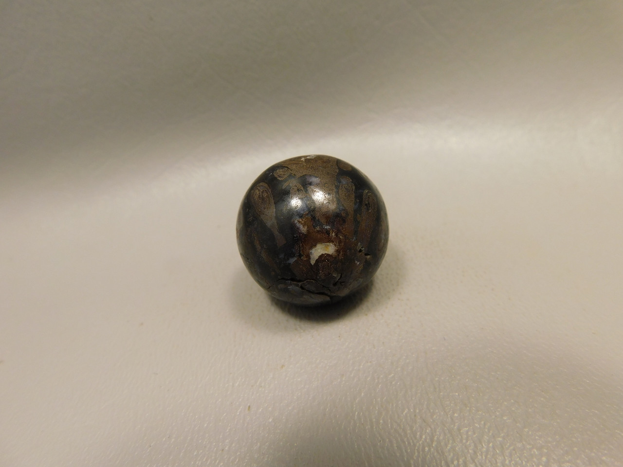 Petrified Wood Small Sphere Marble 25 mm Rare Paleosmunda Fossil #O14
