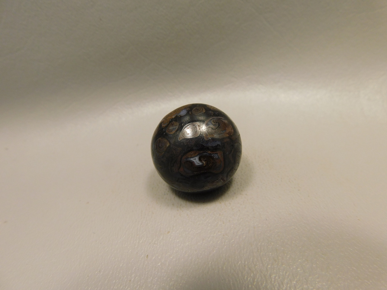 Petrified Wood Small Sphere Marble 25 mm Rare Paleosmunda Fossil #O14