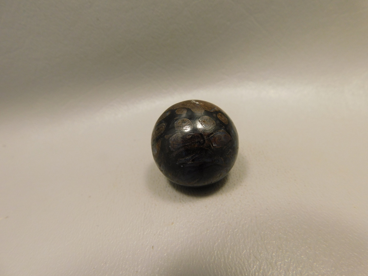 Petrified Wood Small Sphere Marble 25 mm Rare Paleosmunda Fossil #O14