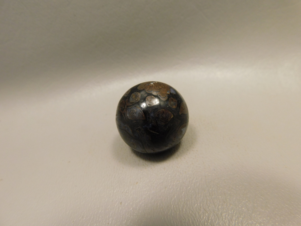 Petrified Wood Small Sphere Marble 25 mm Rare Paleosmunda Fossil #O14