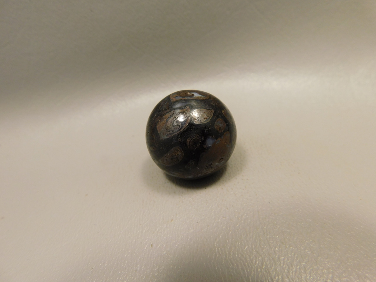 Petrified Wood Small Sphere Marble 25 mm Rare Paleosmunda Fossil #O14