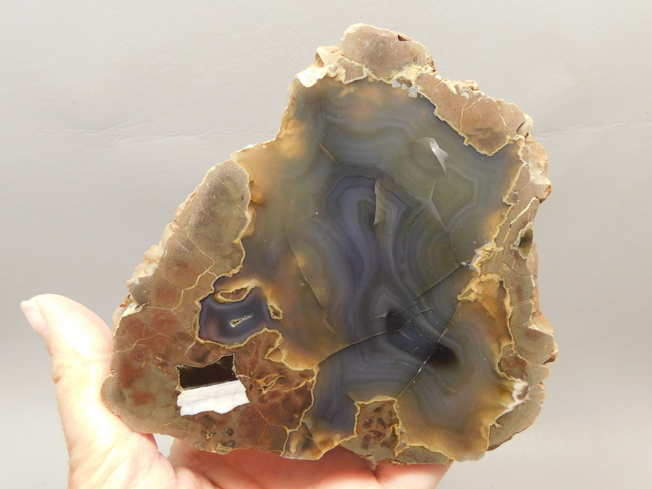 Priday Agate Thunderegg Richardson Ranch Polished Rock Oregon #O100