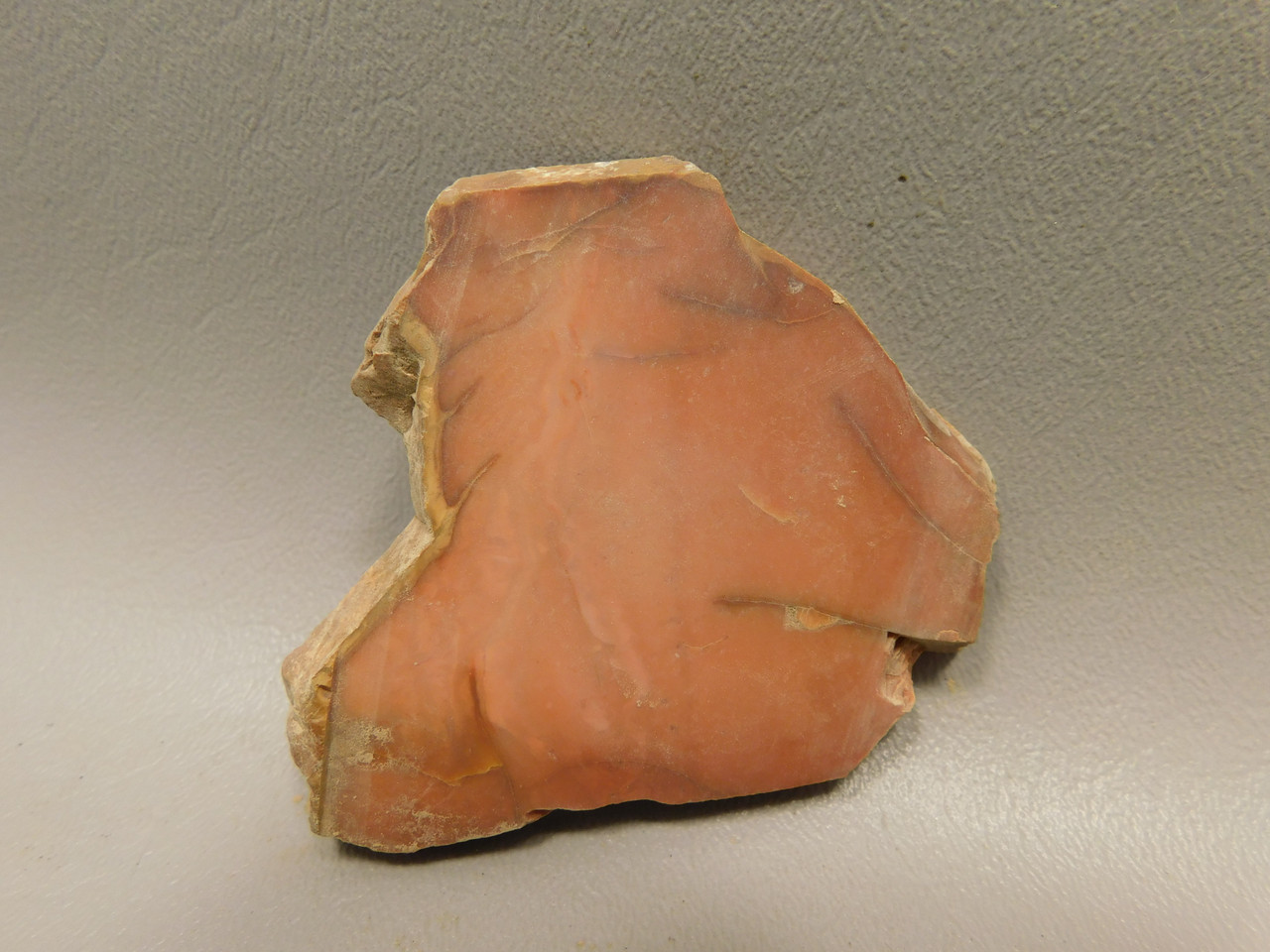 Bruneau Jasper Unpolished Stone Slab Lapidary Rock Oregon #O11