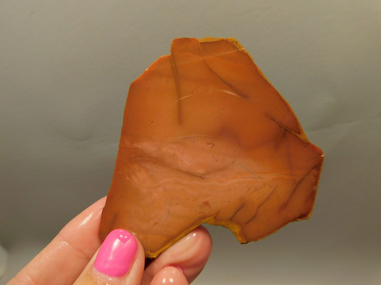 Bruneau Jasper Unpolished Stone Slab Lapidary Rock Oregon #O11