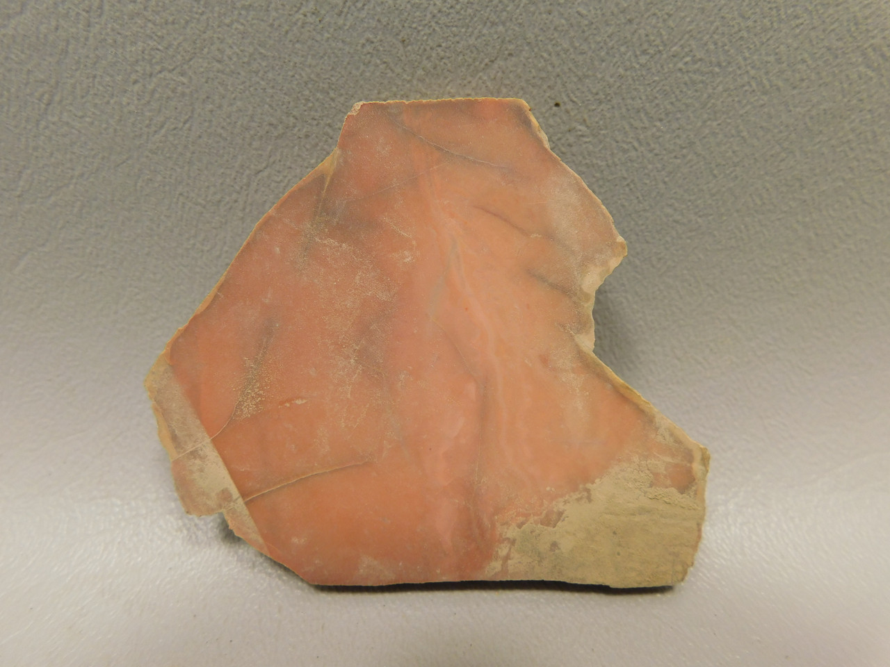 Bruneau Jasper Unpolished Stone Slab Lapidary Rock Oregon #O11