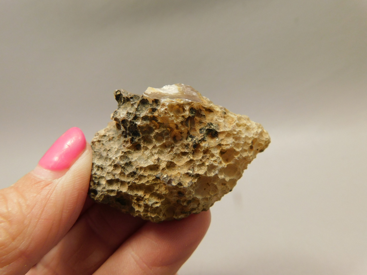 Laguna Agate Polished Stone Nodule Collector Banded Rock #O26