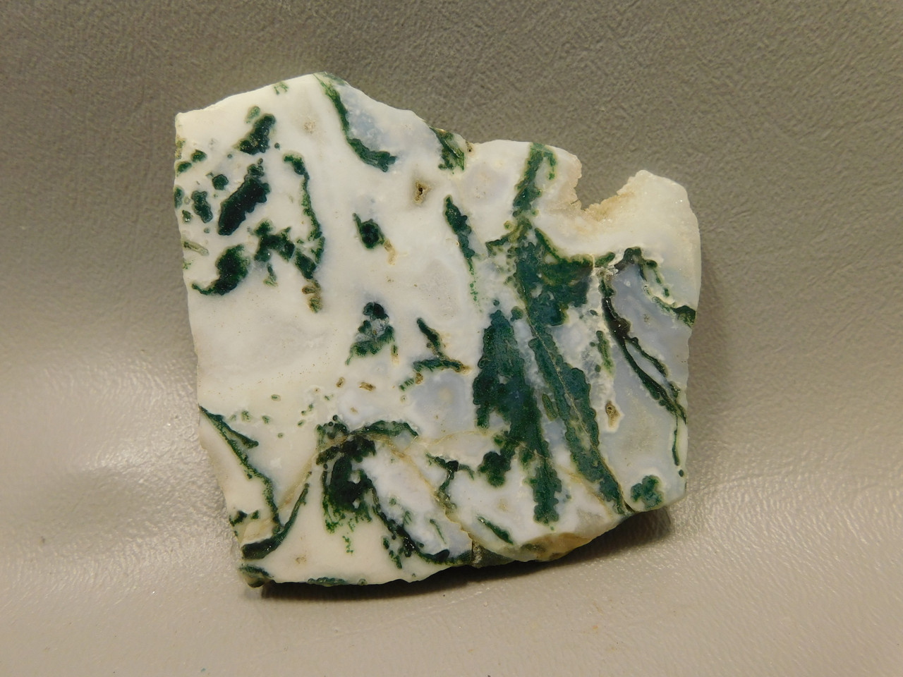 Tree Agate Polished Stone Slab Rock India Gemstone #O3