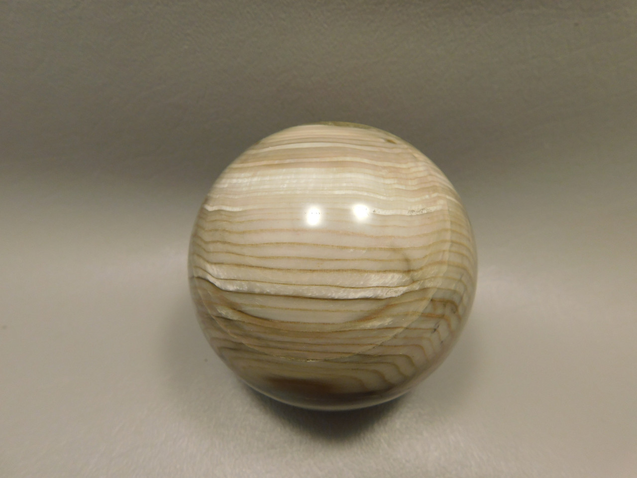 Petrified Sequoia Wood 2.75 inch Stone Sphere Fossilized USA #O2