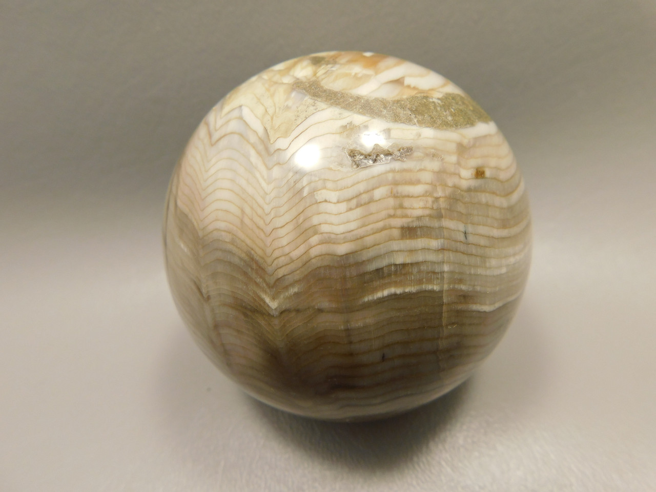 Petrified Sequoia Wood 2.75 inch Stone Sphere Fossilized USA #O2
