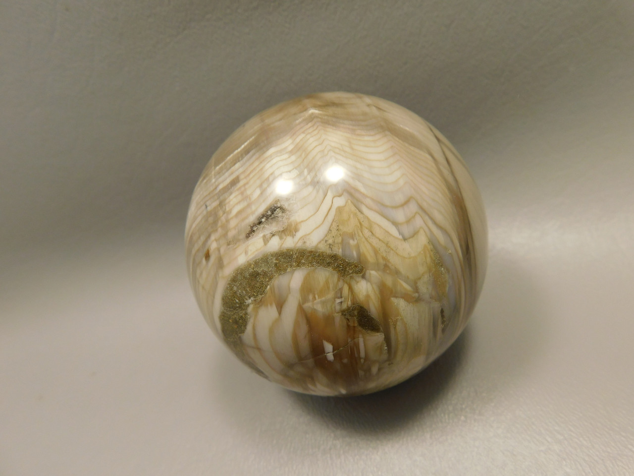 Petrified Sequoia Wood 2.75 inch Stone Sphere Fossilized USA #O2