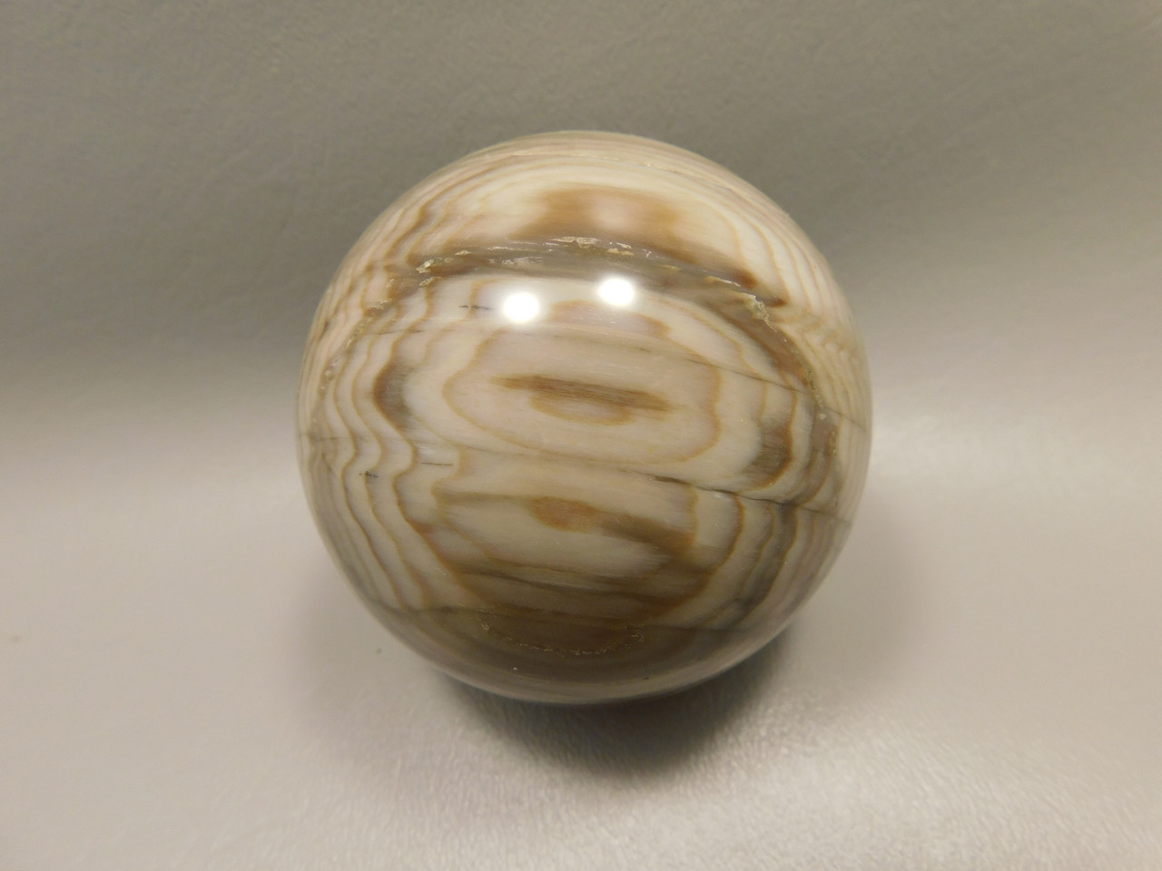 Petrified Sequoia Wood 2.75 inch Stone Sphere Fossilized USA #O2