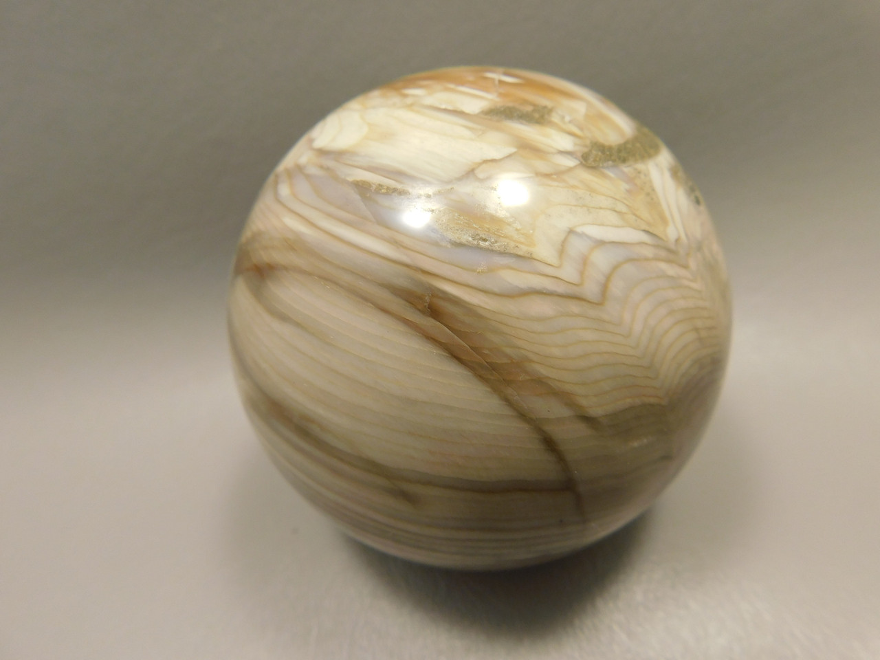 Petrified Sequoia Wood 2.75 inch Stone Sphere Fossilized USA #O2