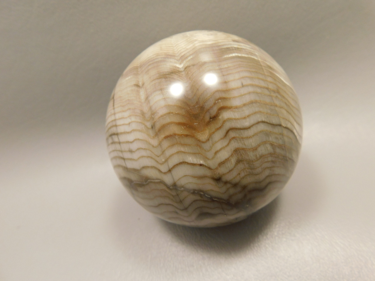 Petrified Sequoia Wood 2.75 inch Stone Sphere Fossilized USA #O2