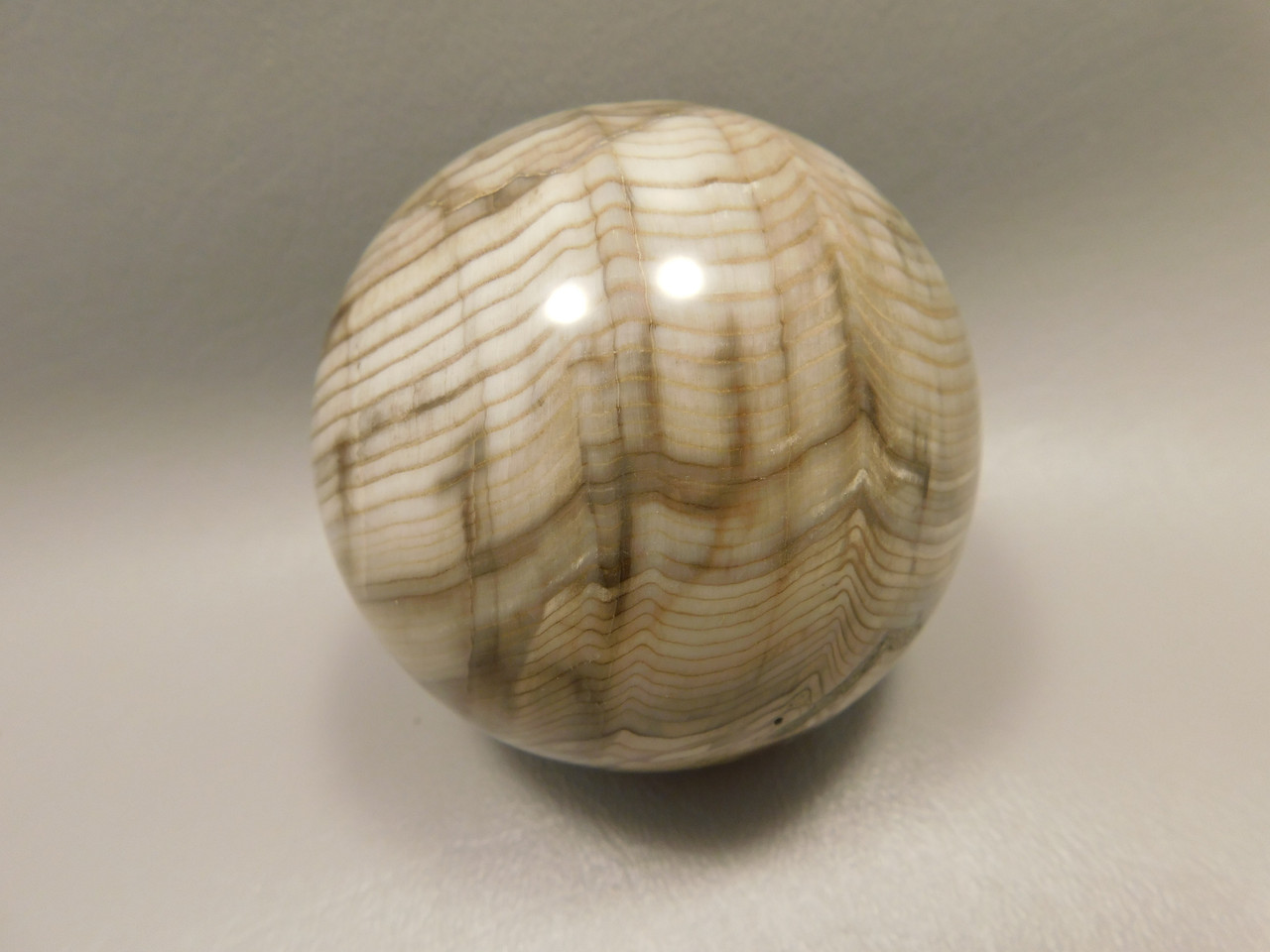 Petrified Sequoia Wood 2.75 inch Stone Sphere Fossilized USA #O2
