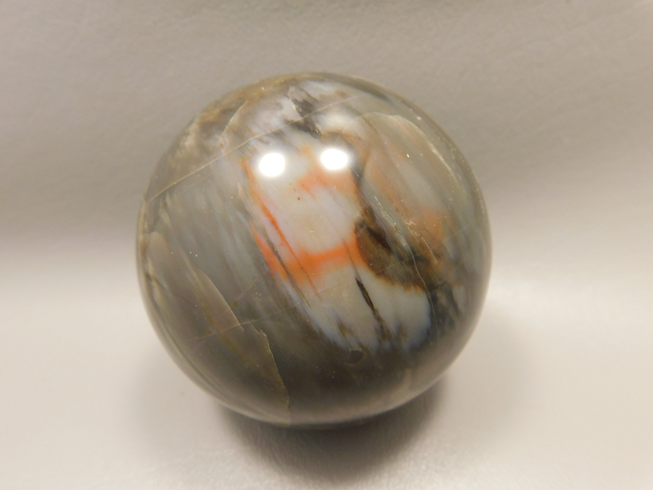 Petrified Wood Sphere Stone 3 inch Fossilized Ball 75 mm Arizona #OA2