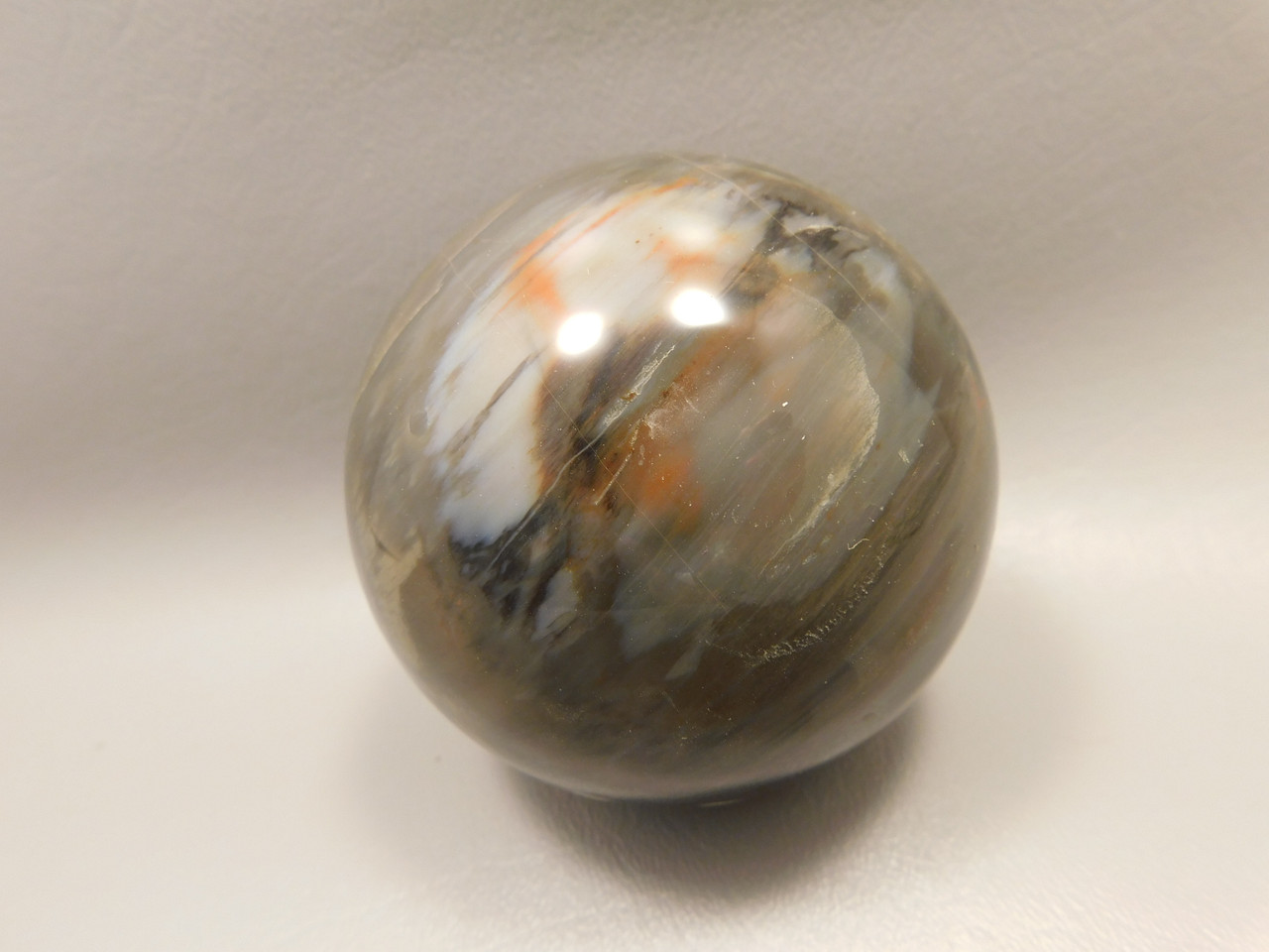 Petrified Wood Sphere Stone 3 inch Fossilized Ball 75 mm Arizona #OA2