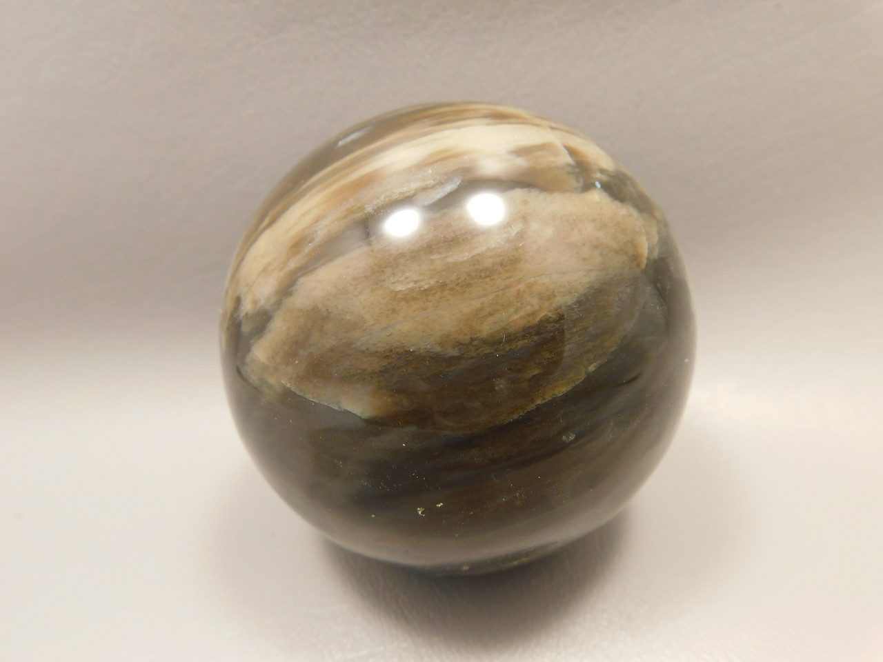 Petrified Wood Sphere Stone 3 inch Fossilized Ball 75 mm Arizona #OA2