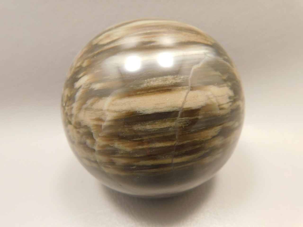 Petrified Wood Sphere Stone 3 inch Fossilized Ball 75 mm Arizona #OA2