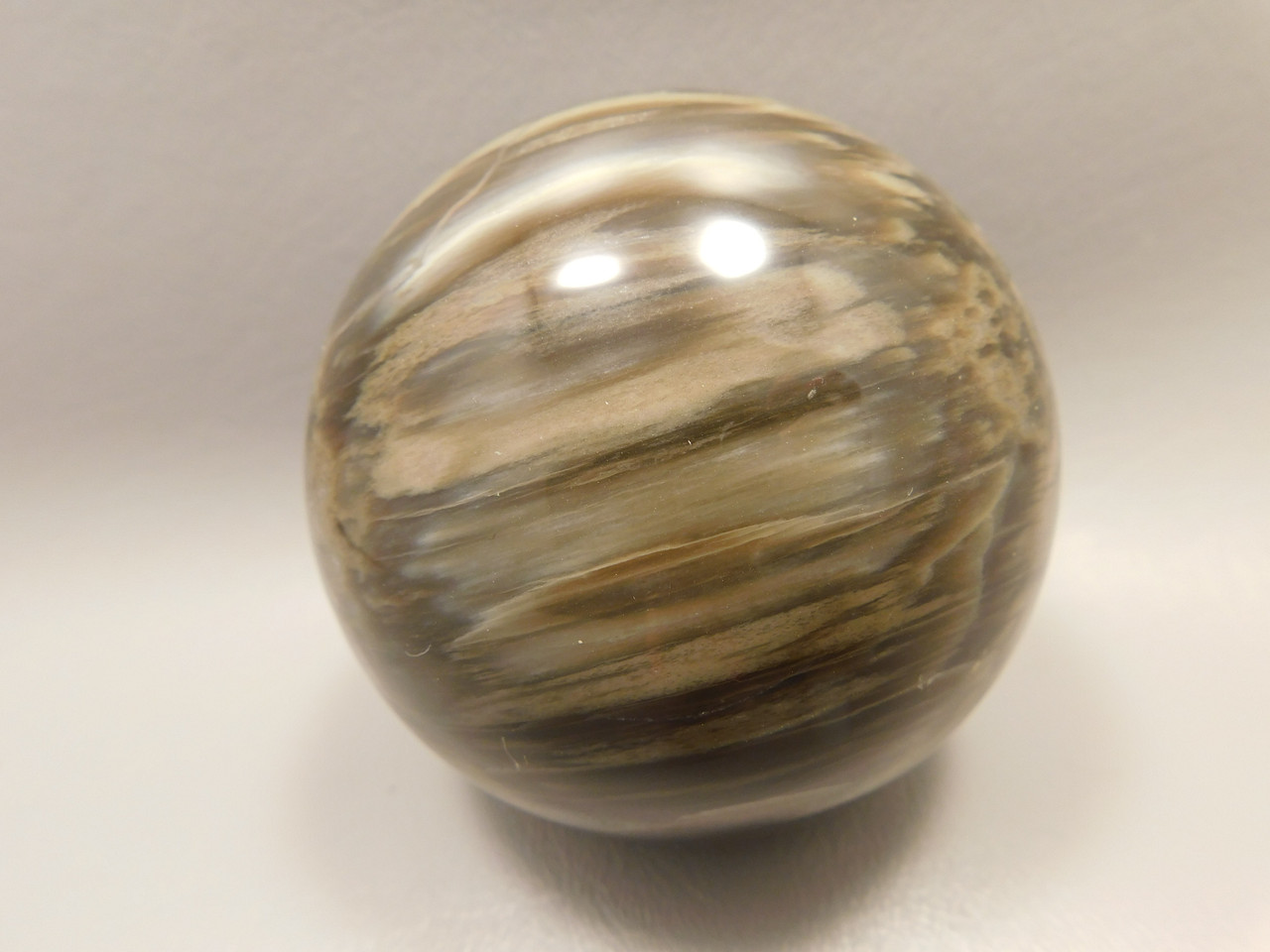 Petrified Wood Sphere Stone 3 inch Fossilized Ball 75 mm Arizona #OA2