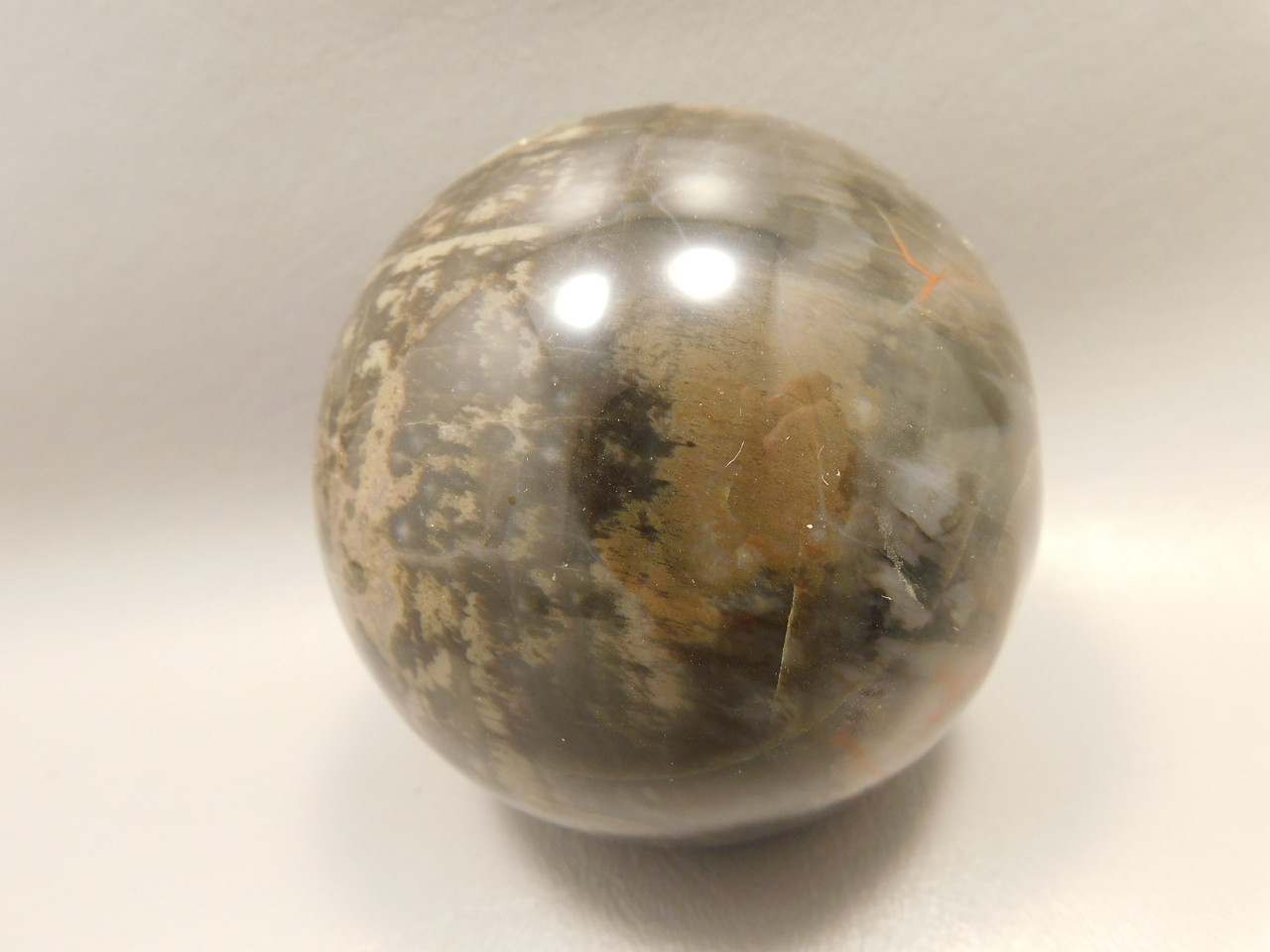 Petrified Wood Sphere Stone 3 inch Fossilized Ball 75 mm Arizona #OA2