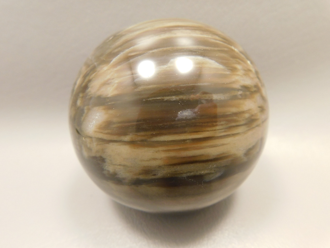 Petrified Wood Sphere Stone 3 inch Fossilized Ball 75 mm Arizona #OA2