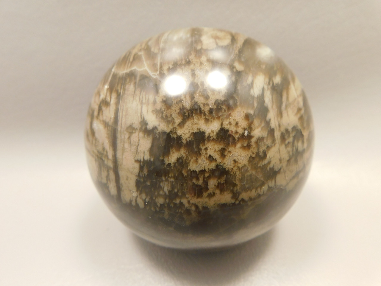 Petrified Wood Sphere Stone 3 inch Fossilized Ball 75 mm Arizona #OA2
