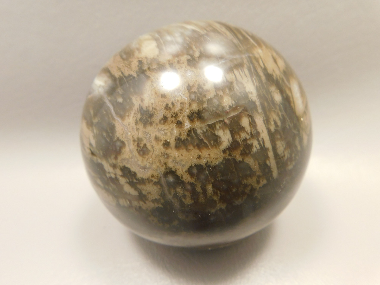 Petrified Wood Sphere Stone 3 inch Fossilized Ball 75 mm Arizona #OA2