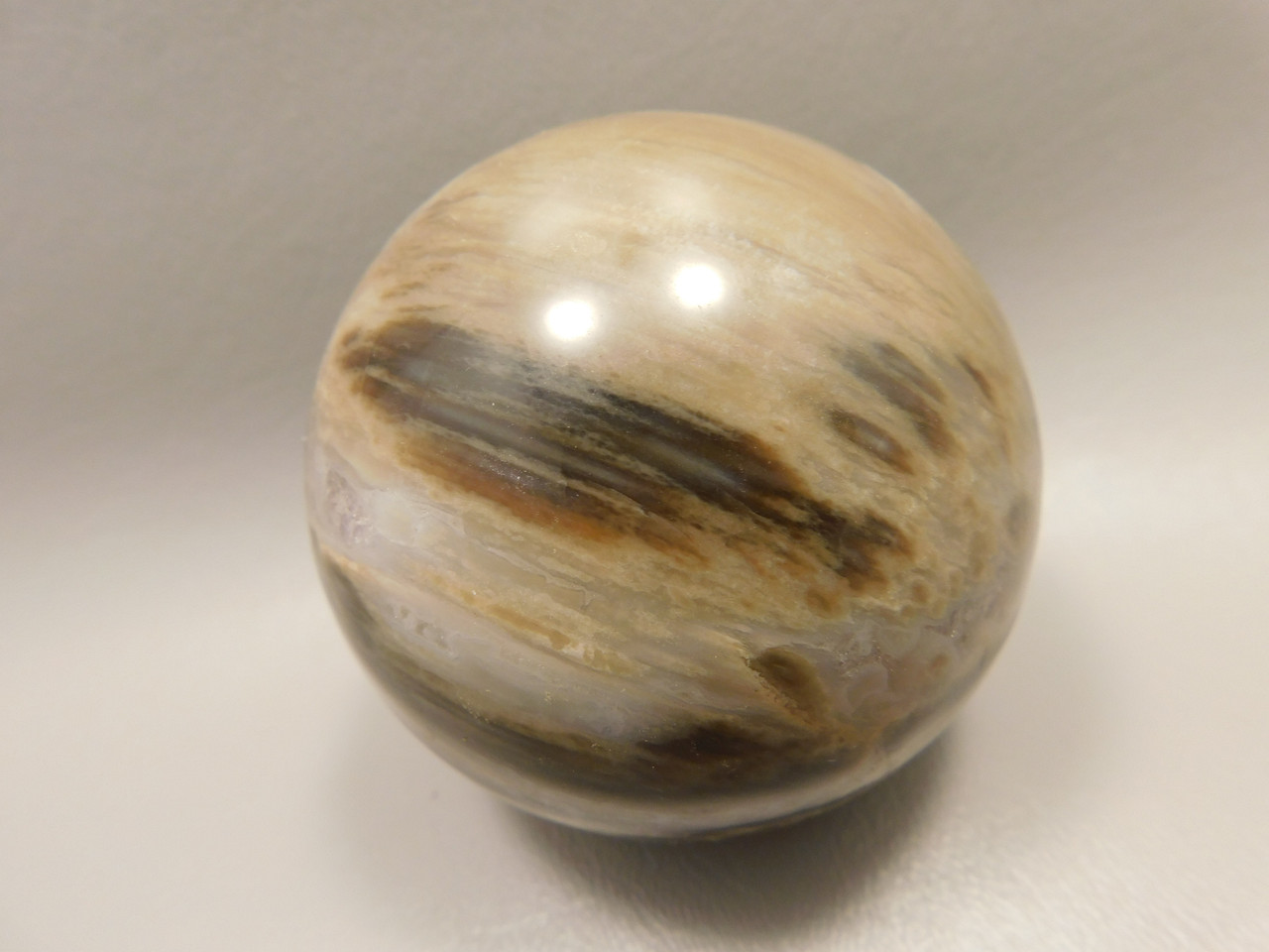 Petrified Wood Sphere Stone 2.75 inch Fossilized Ball 75 mm Arizona #OA1
