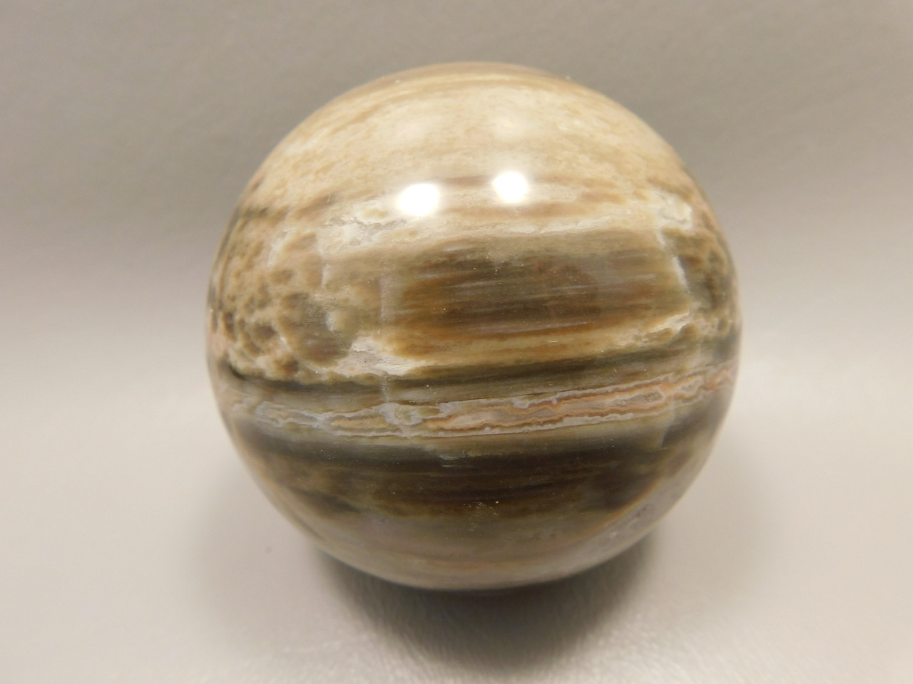 Petrified Wood Sphere Stone 2.75 inch Fossilized Ball 75 mm Arizona #OA1