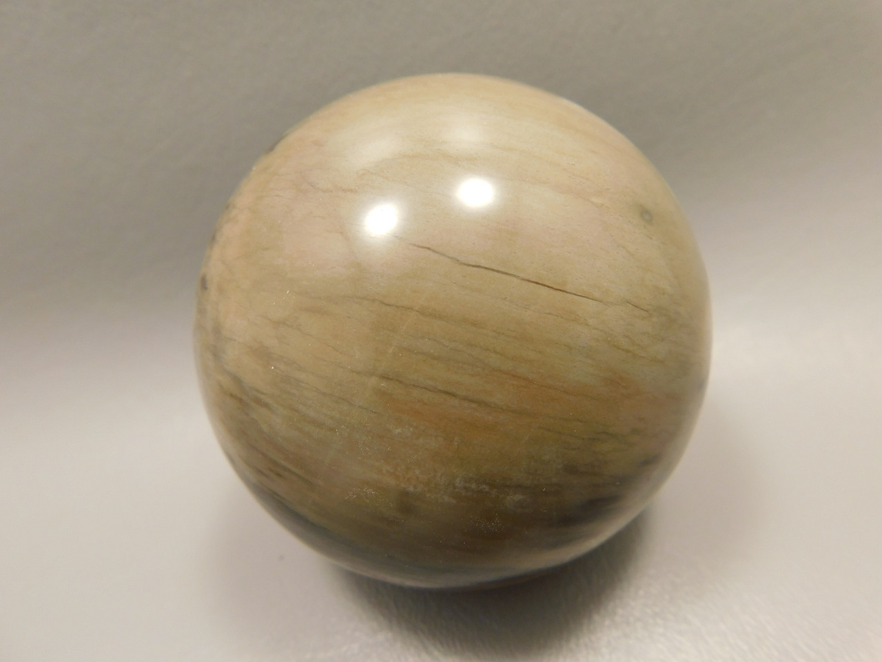 Petrified Wood Sphere Stone 2.75 inch Fossilized Ball 75 mm Arizona #OA1