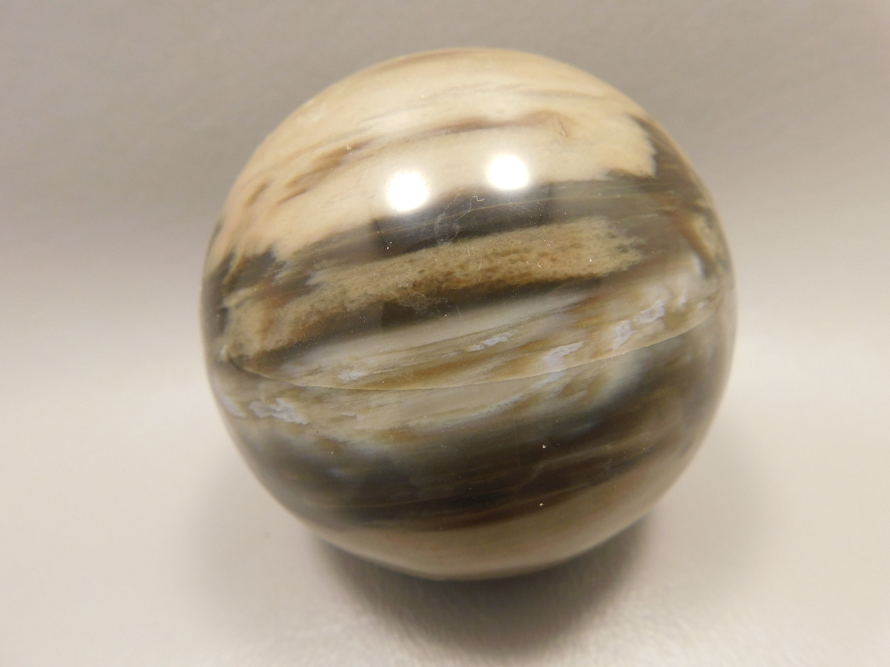 Petrified Wood Sphere Stone 2.75 inch Fossilized Ball 75 mm Arizona #OA1