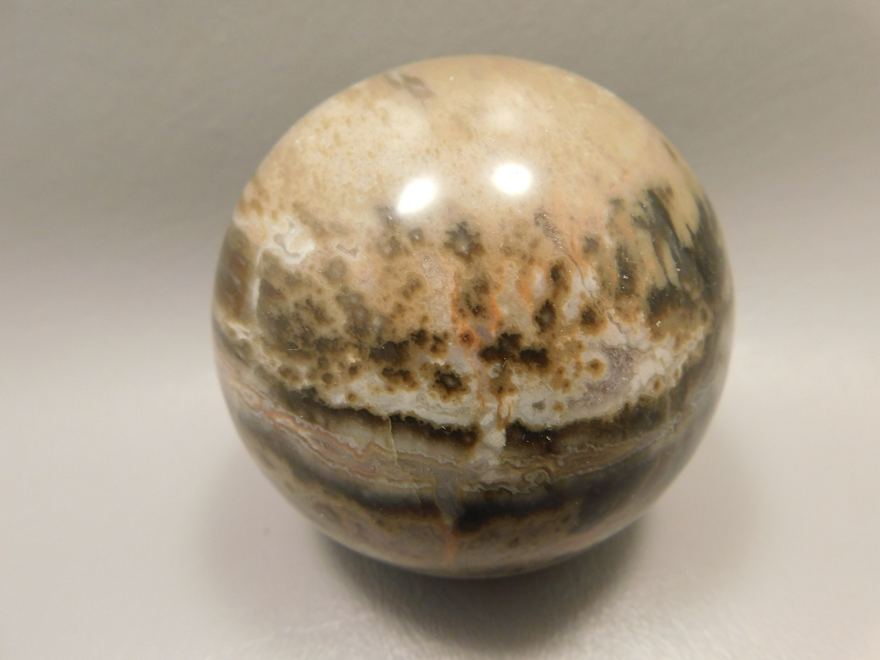 Petrified Wood Sphere Stone 2.75 inch Fossilized Ball 75 mm Arizona #OA1