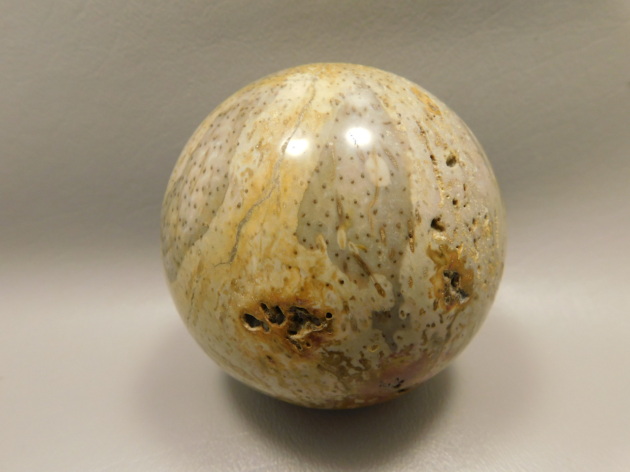 Petrified Palm Wood Sphere 3.15 inch Fossil Indonesia #O21