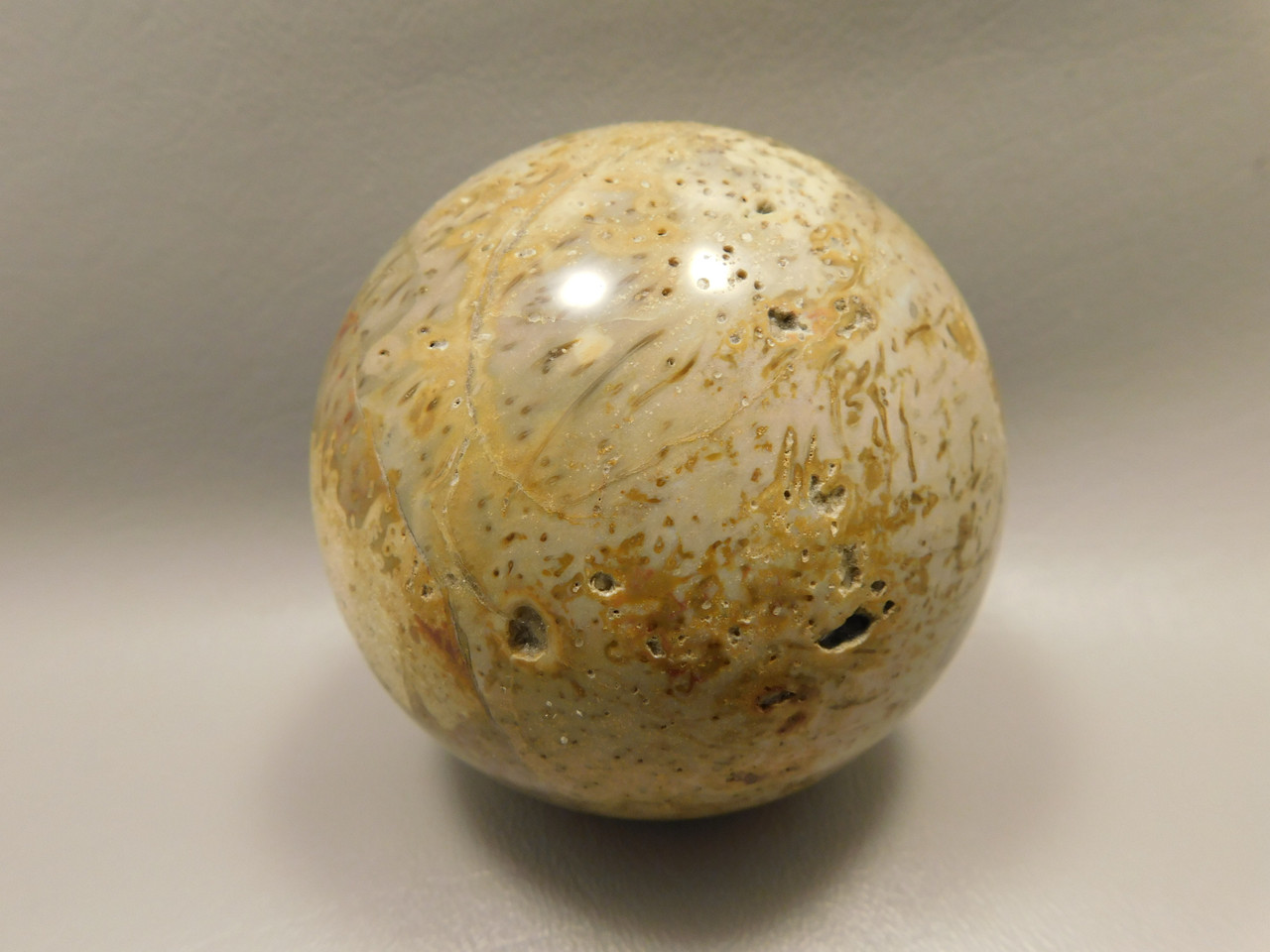 Petrified Palm Wood Sphere 3.15 inch Fossil Indonesia #O21